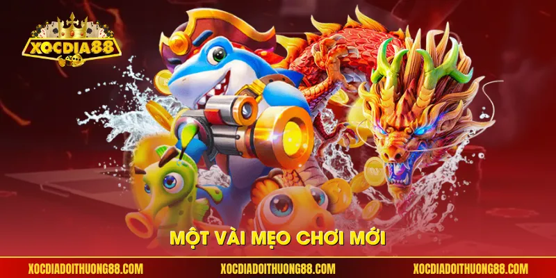 Một vài mẹo chơi mới 